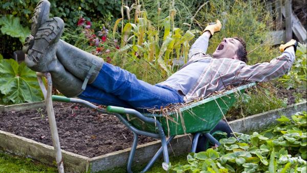The Lazy Gardener’s Secret: A Full Vegetable Garden in Just 15 Minutes a Day