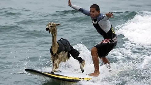 10 Beach Photos That Will Brighten Your Day In A Second
